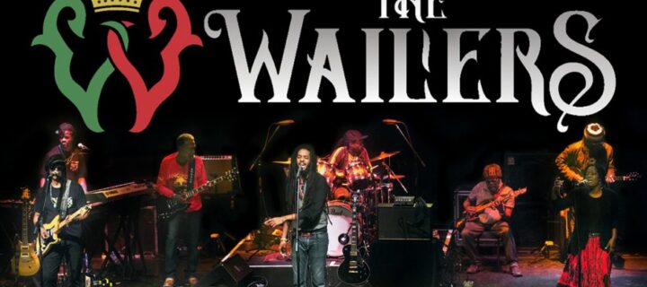 Spotlight on Josh Barrett of The Wailers
