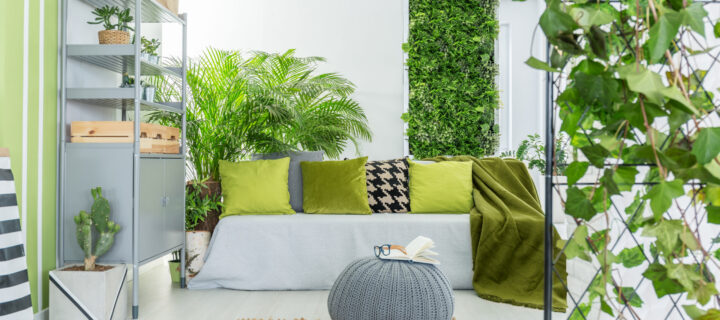 Home Products | Home & Hood