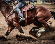 Bull Rider Reflects On His Groundbreaking Rodeo Career