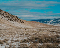 Scientists Uncover Fossils Belonging to New Reptile Species in Central Wyoming